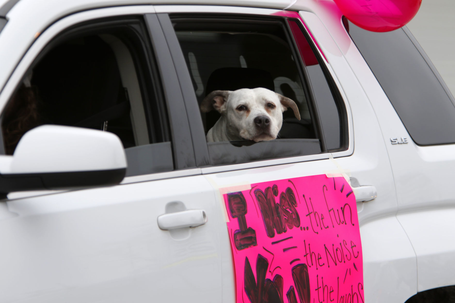 Gallery: Myers Elementary staff parades through Portage neighborhood